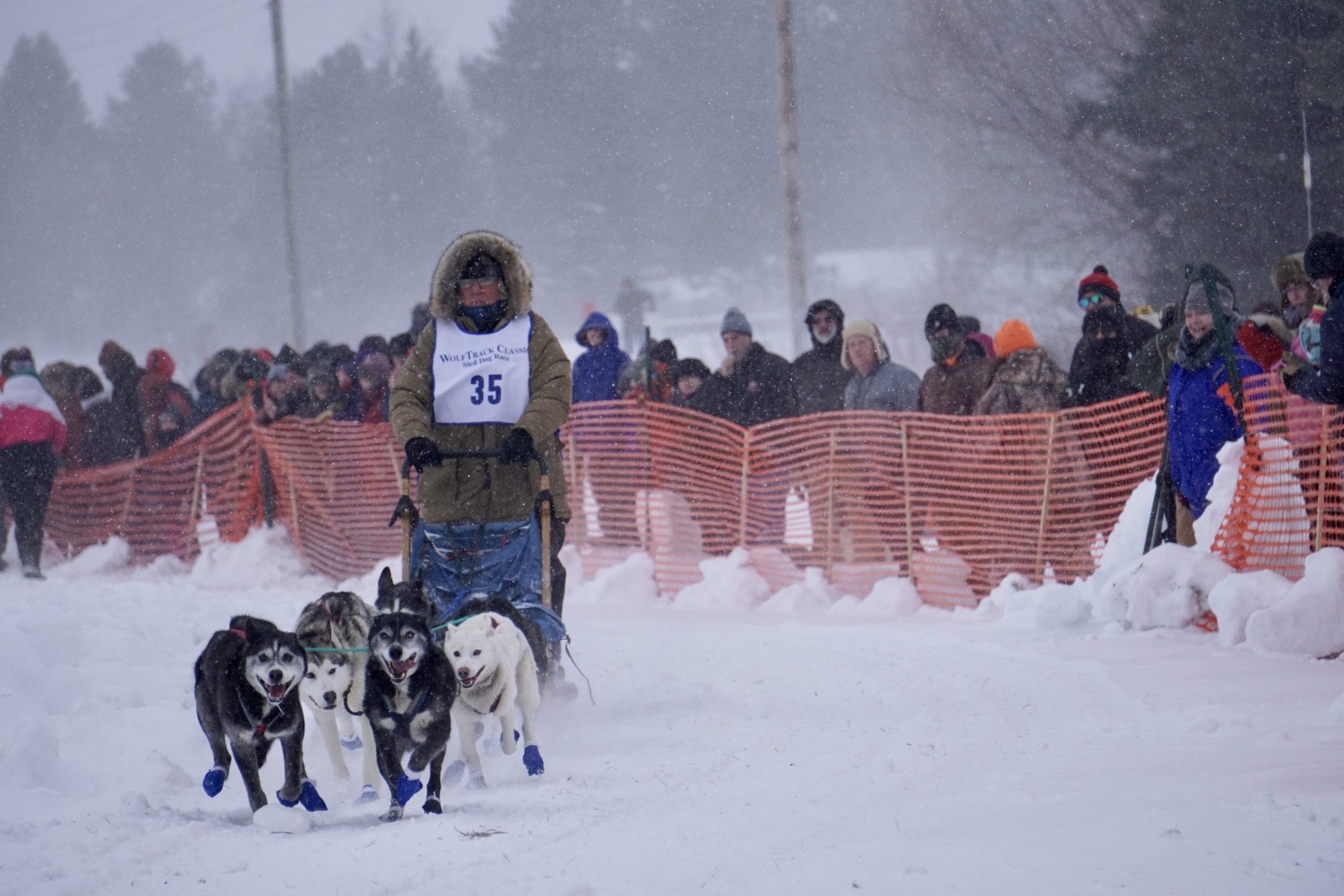 Sled Dog Capitol of America — That’s Ely!