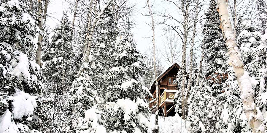 The Winter Sauna